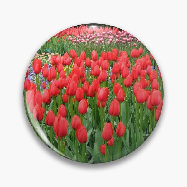 Item preview, Bed of Reds - Keukenhof Gardens designed and sold by SunriseRose.