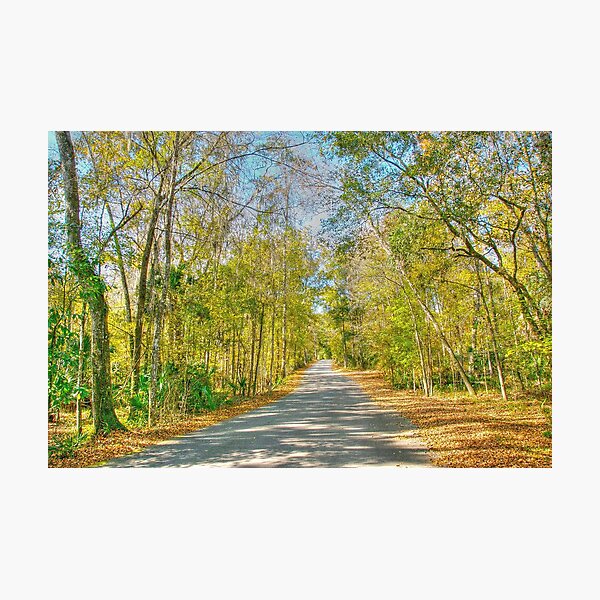 Item preview, Country side of Micanopy Town in Florida designed and sold by Jeremy Lavender Photography.