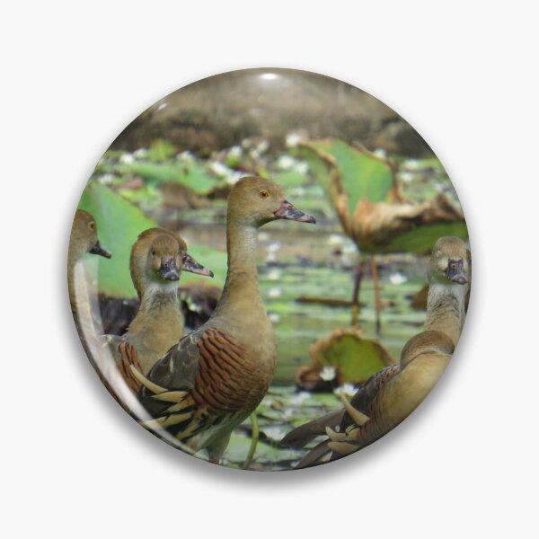 Item preview, Plumed Whistling Ducks designed and sold by Genevieve Hanlon Art and Photography.