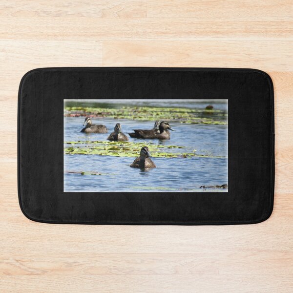 Item preview, Pacific Black Ducks designed and sold by Genevieve Hanlon Art and Photography.