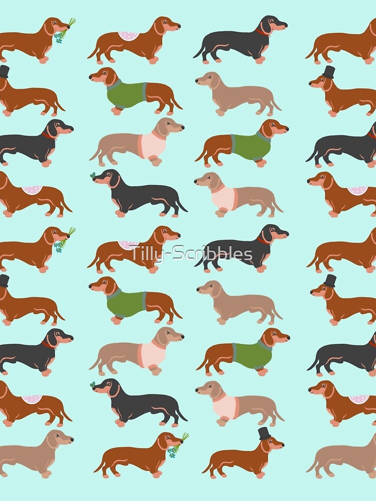 "Sausage Dog Pattern" ALine Dress for Sale by TillyScribbles Redbubble