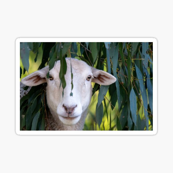 Item preview, Flossy designed and sold by Rosemeade-Farm.