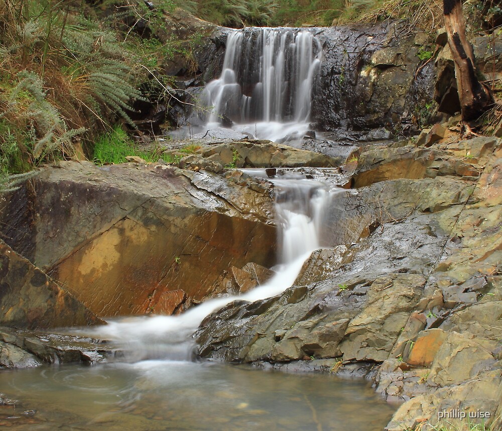 "Strath Creek Feeder" by phillip wise Redbubble