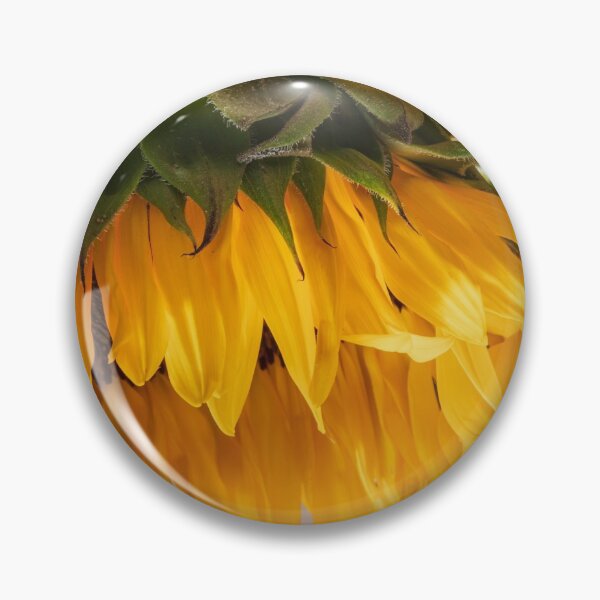 Artikelvorschau, Closeup head of a decorative flower of a sunflower with seeds entworfen und verkauft von EG Creativity Art.