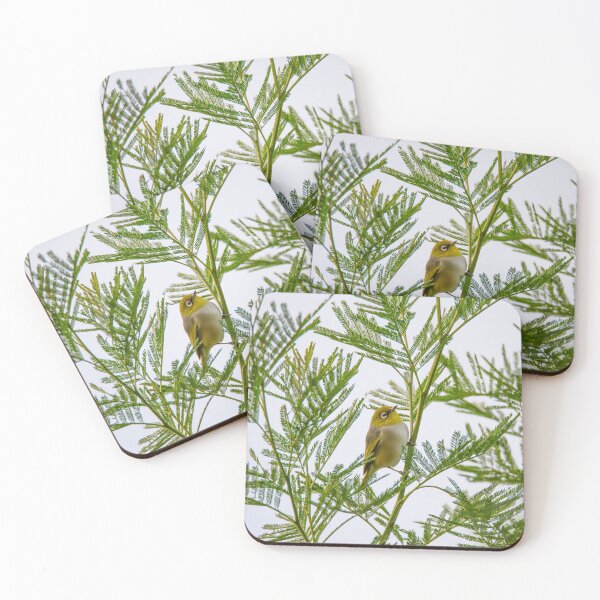 Item preview, Silvereye in Acacia designed and sold by Bruce Reardon.