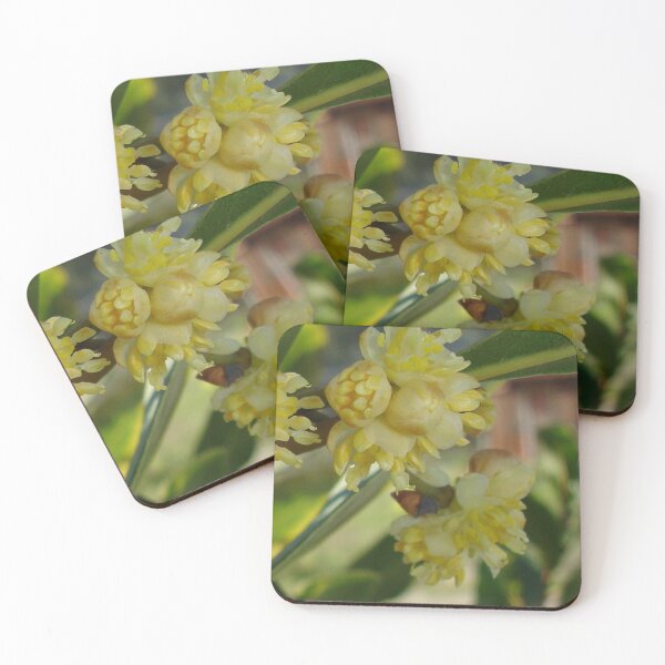 Item preview, The Glorious Buds of Bay designed and sold by taiche.
