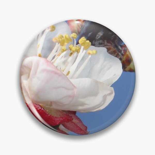 Item preview, Apricot Blossom designed and sold by taiche.