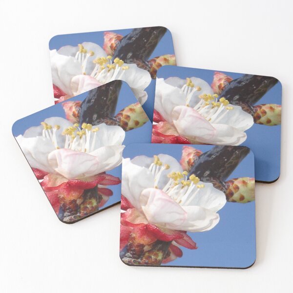Item preview, Apricot Blossom designed and sold by taiche.
