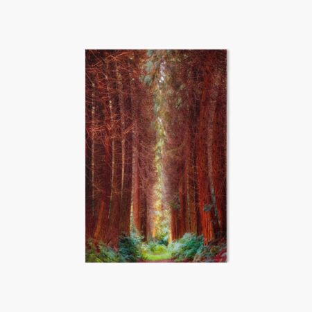 The Pines Art Board Print