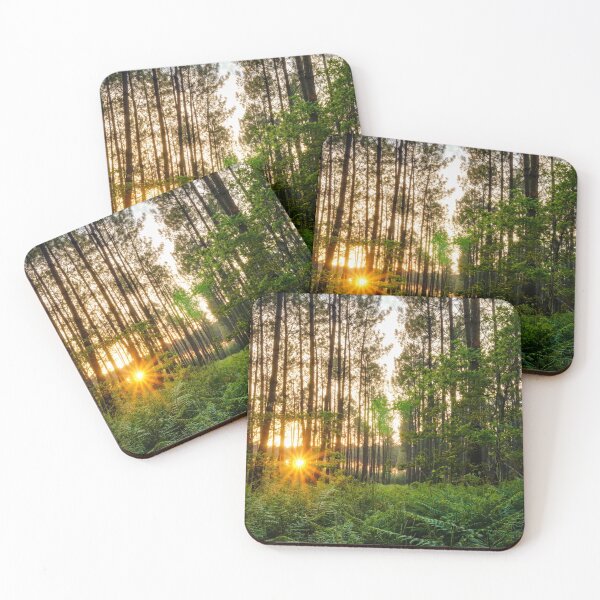 Item preview, Landes forest designed and sold by Gaël FONTAINE.