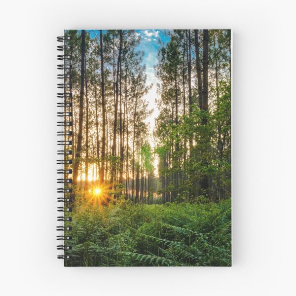 Item preview, Landes forest designed and sold by Gaël FONTAINE.