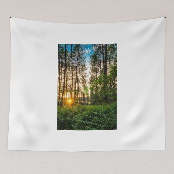 Item preview, Landes forest designed and sold by Gaël FONTAINE.