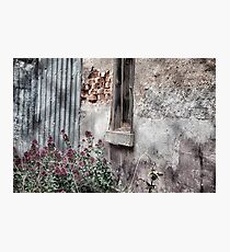 Streetscape Photographic Print