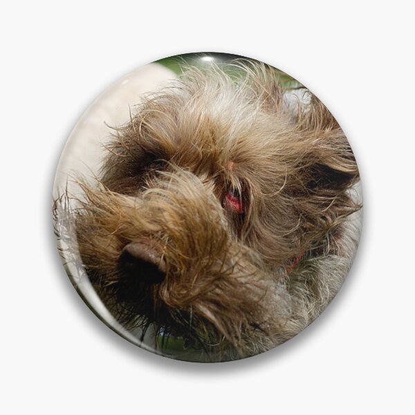 Item preview, Head Shake Spinone by heidiannemorris designed and sold by FOLK ART FUSION by heidiannemorris.