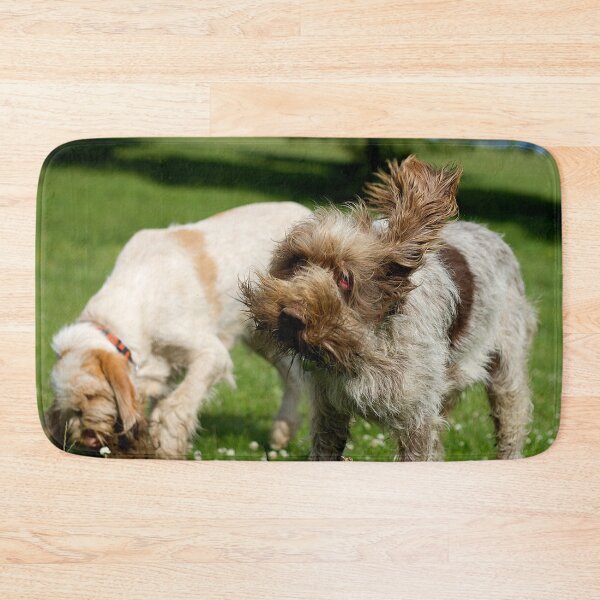 Item preview, Head Shake Spinone by heidiannemorris designed and sold by FOLK ART FUSION by heidiannemorris.