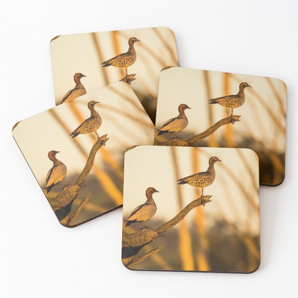 Item preview, Wood Ducks at Cecil Hills designed and sold by Bruce Reardon.