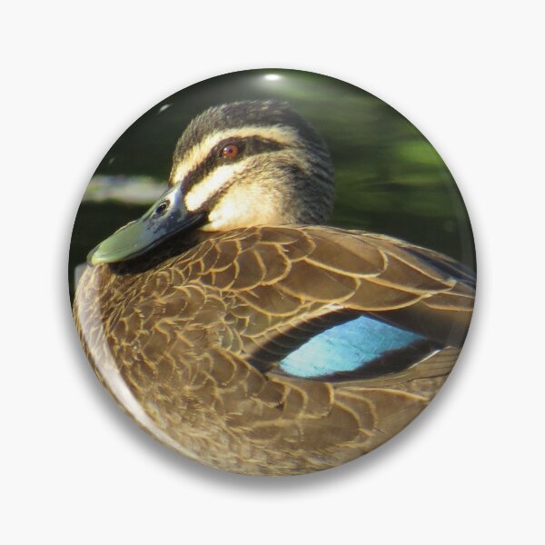 Item preview, Pacific Black Duck designed and sold by Genevieve Hanlon Art and Photography.
