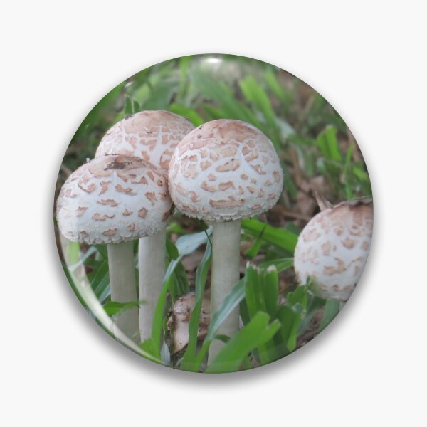 Item preview, Four Round Top Toadstools.  designed and sold by Genevieve Hanlon Art and Photography.