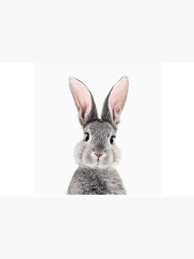 Bunny Rabbit by LotusPrintShop