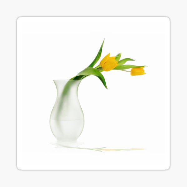 Yellow Tulips in glass vase. Sticker