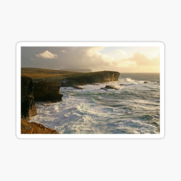 Wild Ocean Sticker