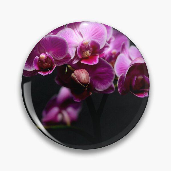Item preview, Phalenopsis Orchids on black designed and sold by LCAppling.