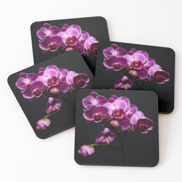 Item preview, Phalenopsis Orchids on black designed and sold by LCAppling.