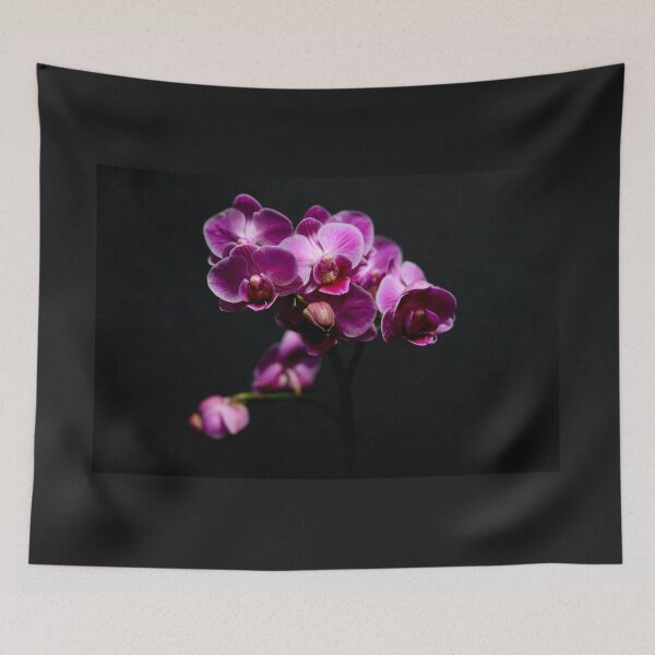 Item preview, Phalenopsis Orchids on black designed and sold by LCAppling.
