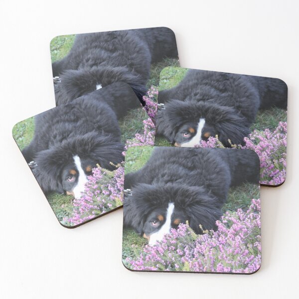 Item preview, Adorable bernese mountain dog in the spring flowers	 designed and sold by EstelleRossetti.