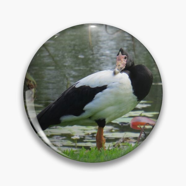 Item preview, Afternoon siesta at the park. designed and sold by Genevieve Hanlon Art and Photography.