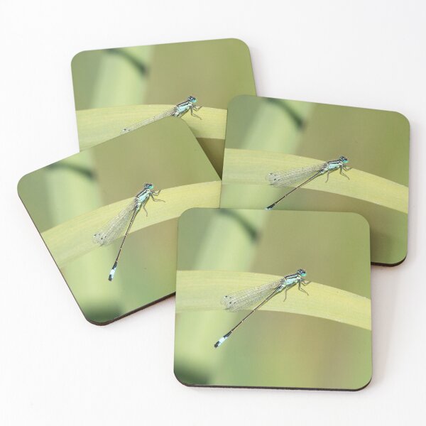 Item preview, Azure Damselfly Sitting on a Reed designed and sold by MargaretClavell.