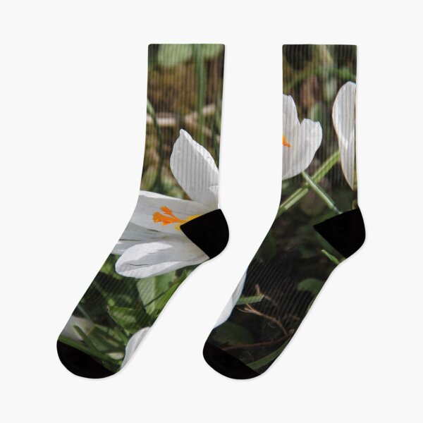 Aperçu de l'œuvre Fleurs de crocus blancs au printemps créée et vendue par EstelleRossetti.