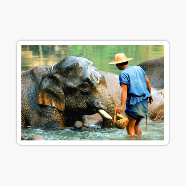 Bath Time Sticker