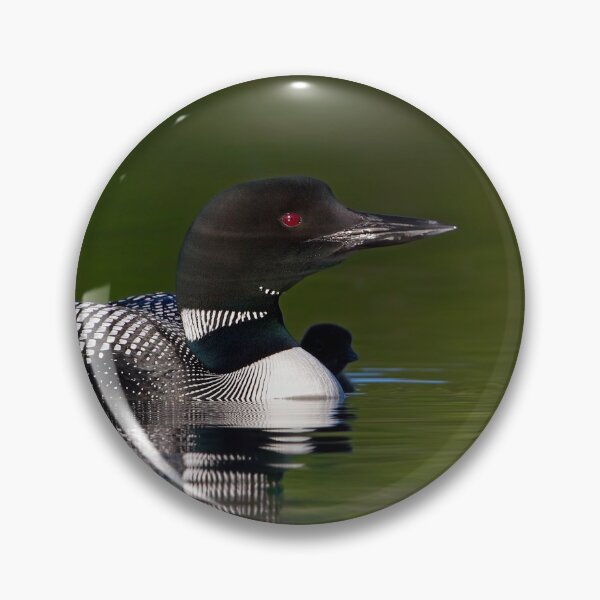 Item preview, By her side - Common loon and chick designed and sold by James Cumming.