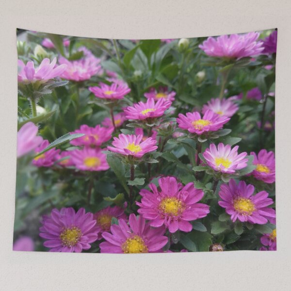 Item preview, Purple violet flowers in a Polish garden designed and sold by AmeliasArtistry.