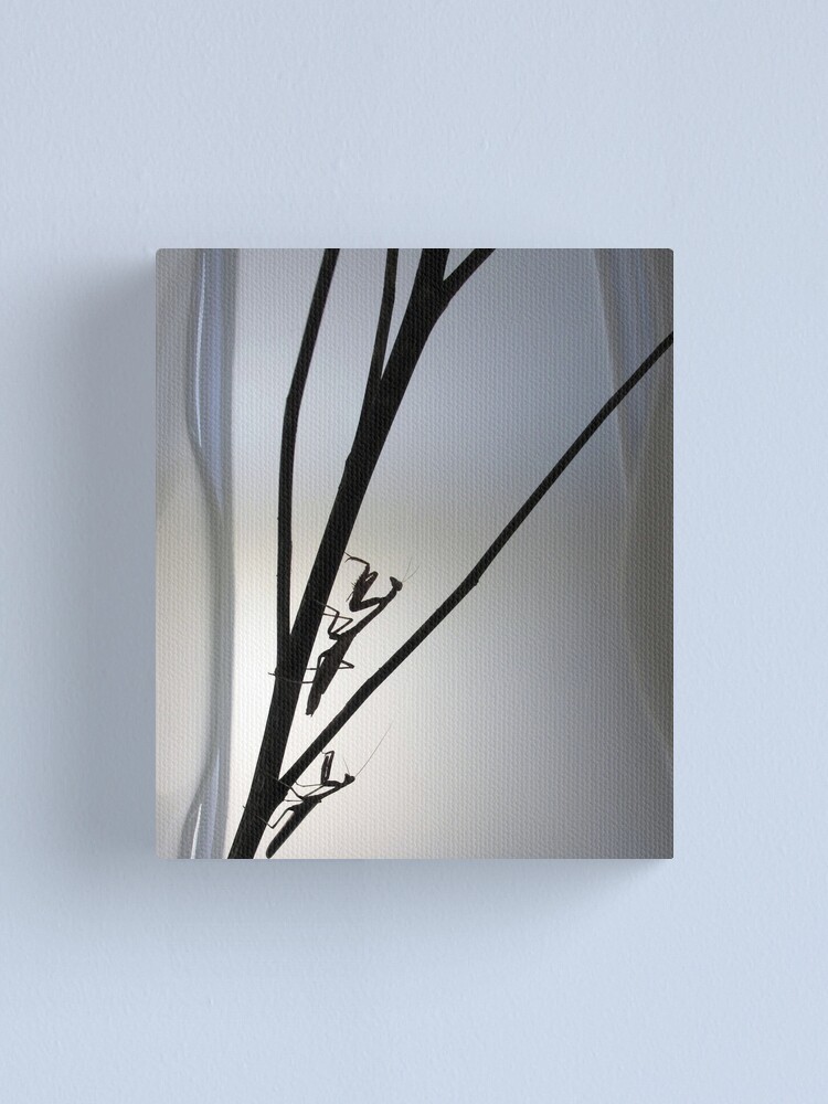 Alternate view of Mantis Silhouette Canvas Print