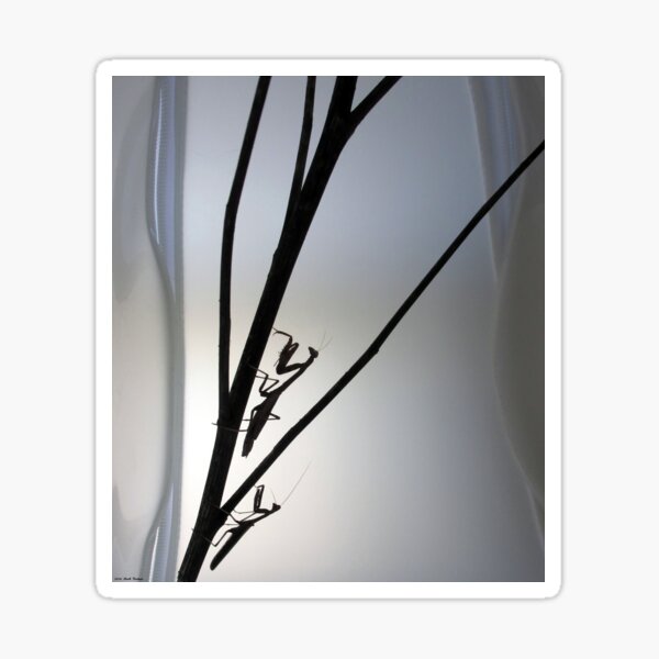 Mantis Silhouette Sticker