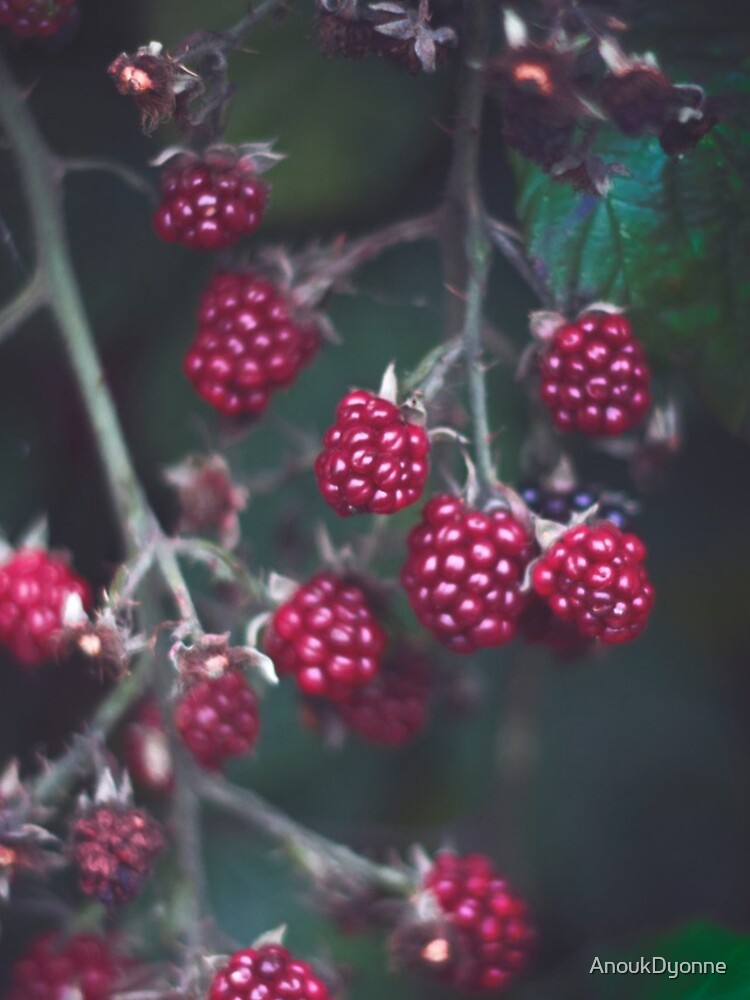 Thumbnail 4 of 4, iPhone Case, Wild Rasberries designed and sold by AnoukDyonne.