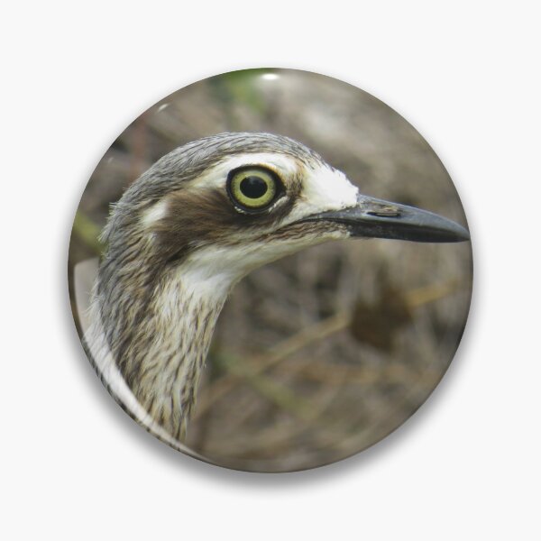 Item preview, Bush Stone Curlew designed and sold by Genevieve Hanlon Art and Photography.