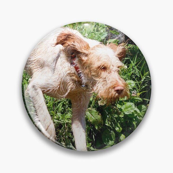 Item preview, River adventure Spinone by heidiannemorris designed and sold by FOLK ART FUSION by heidiannemorris.