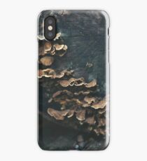 decay iPhone Case/Skin