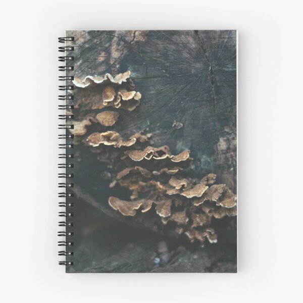 Item preview, decay designed and sold by AnoukDyonne.