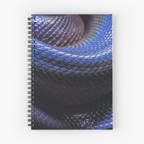Item preview, Blue Snake Scales Photo designed and sold by cgroenewald.