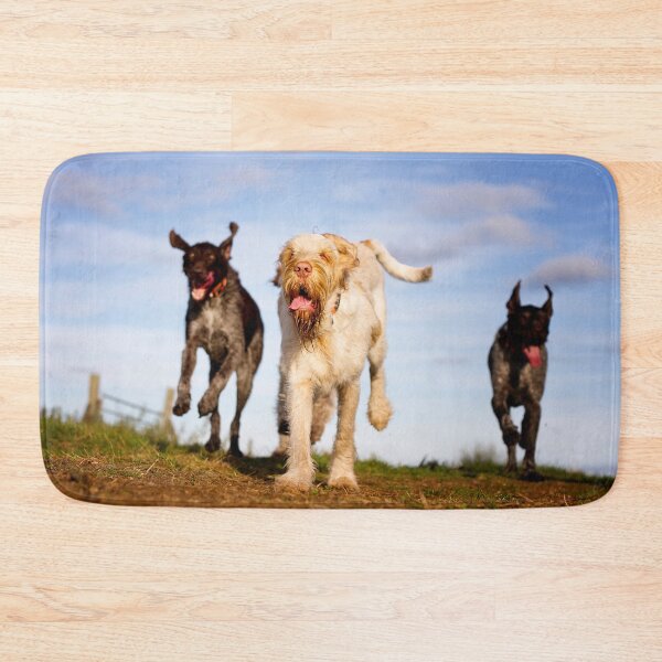 Item preview, Go for launch Spinone by heidiannemorris designed and sold by FOLK ART FUSION by heidiannemorris.