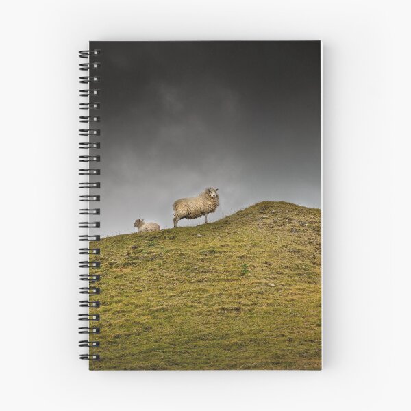 Item preview, Sheep on a hill top designed and sold by Leighton Collins.