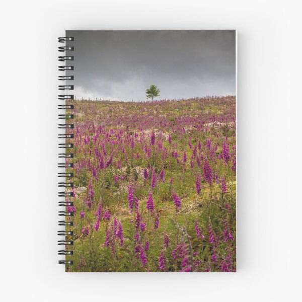 Item preview, A field of Foxgloves on the Brecon Beacons designed and sold by Leighton Collins.
