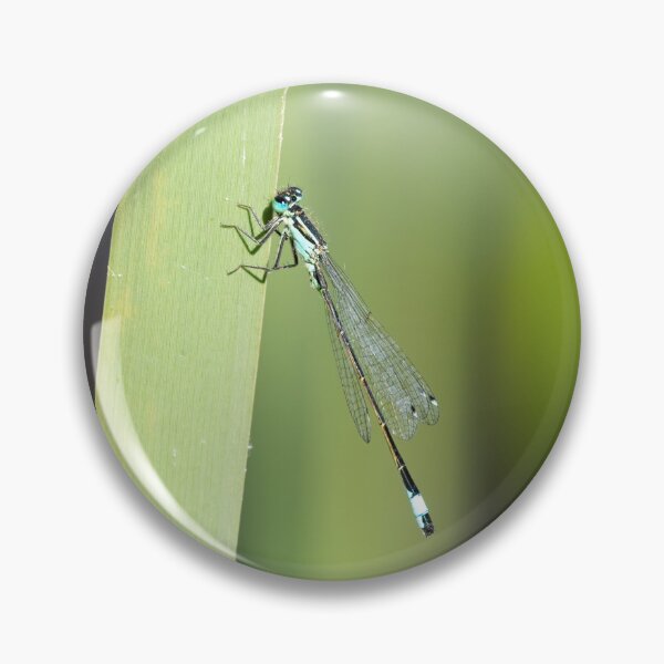 Item preview, Azure Damselfly Sitting on a Reed designed and sold by MargaretClavell.