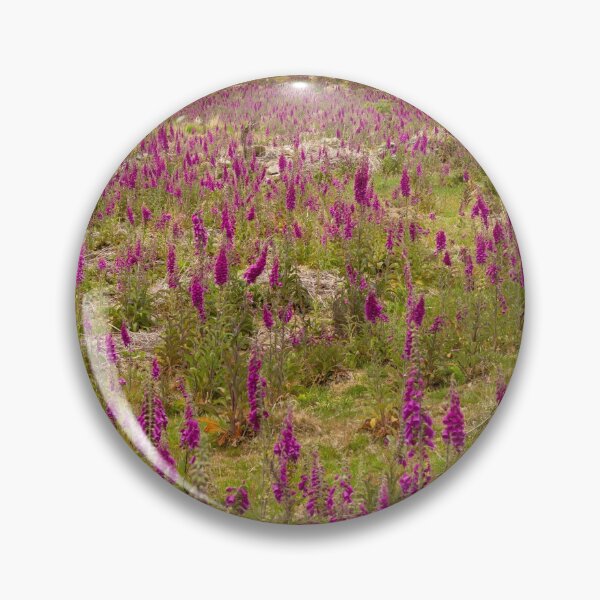 Item preview, Foxgloves on the Brecon Beacons designed and sold by Leighton Collins.