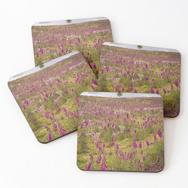 Item preview, Foxgloves on the Brecon Beacons designed and sold by Leighton Collins.