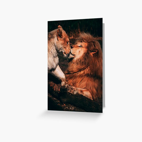 Item preview, Love Between King and Queen of The Jungle designed and sold by ak3shay.